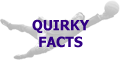 Quirky Facts